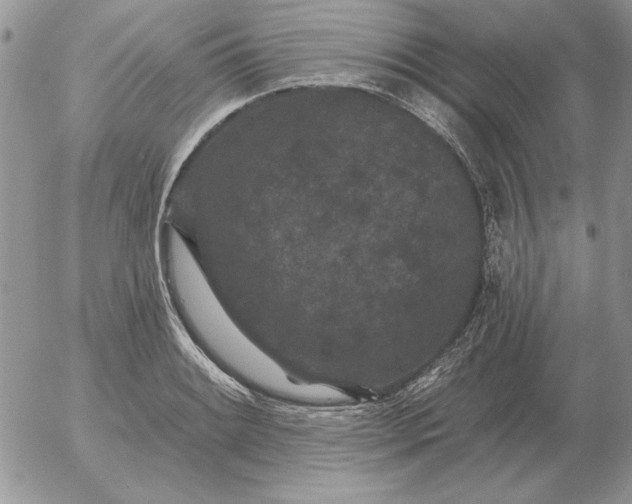 X0000052981084200507221321