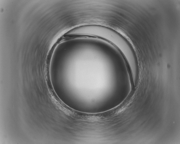 X0000052981085200507221321