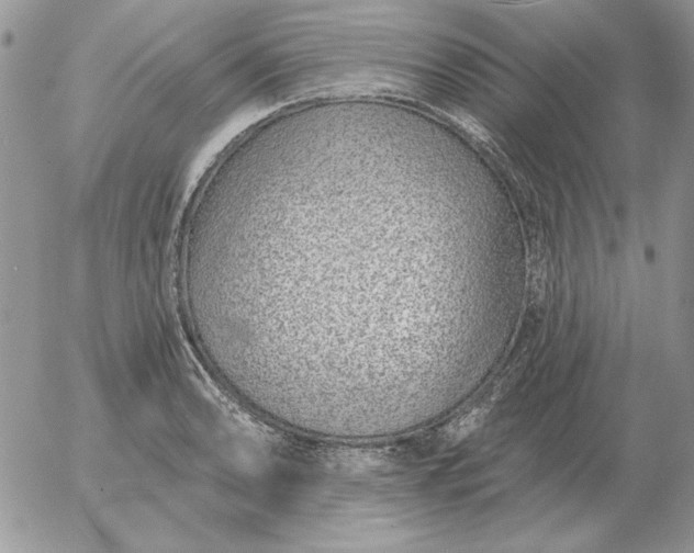 X0000052981086200507221321