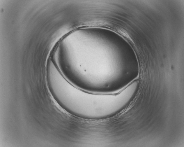 X0000052981087200507221321