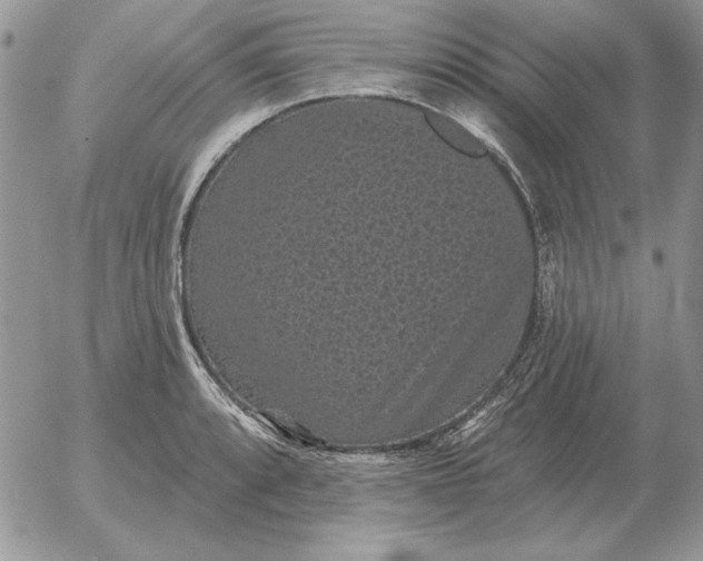 X0000052981088200507221321