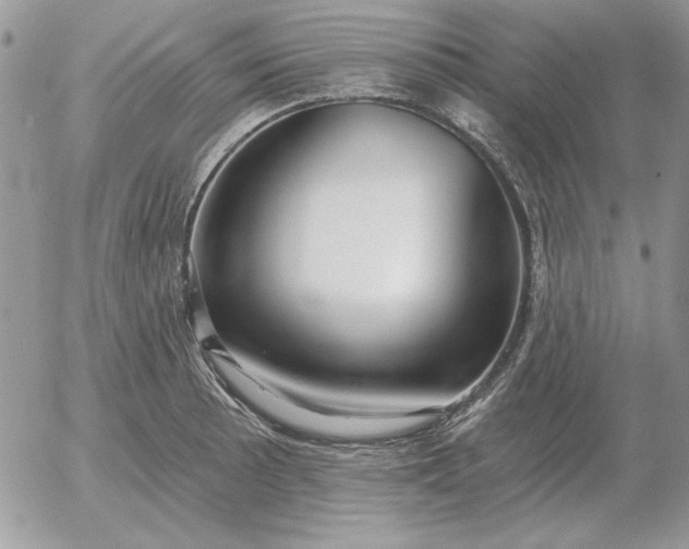 X0000052981089200507221321