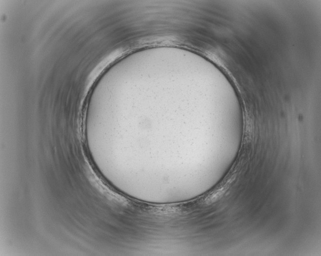 X0000052981090200507221321