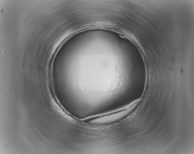 X0000052981091200507221321