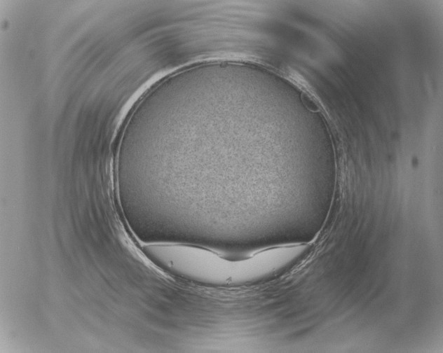 X0000052981092200507221321