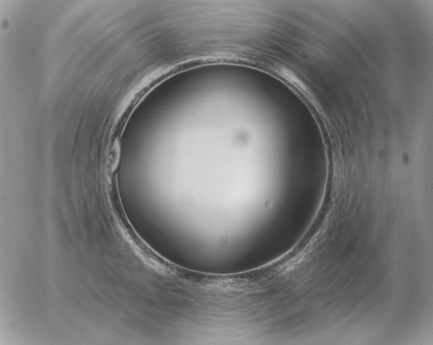 X0000052981093200507221321