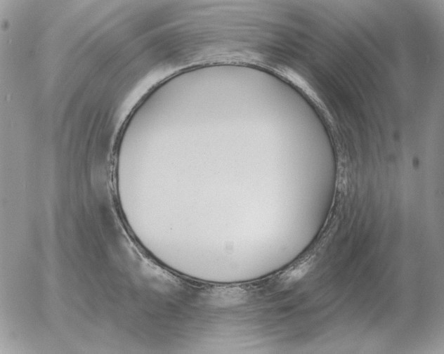 X0000052981094200507221321