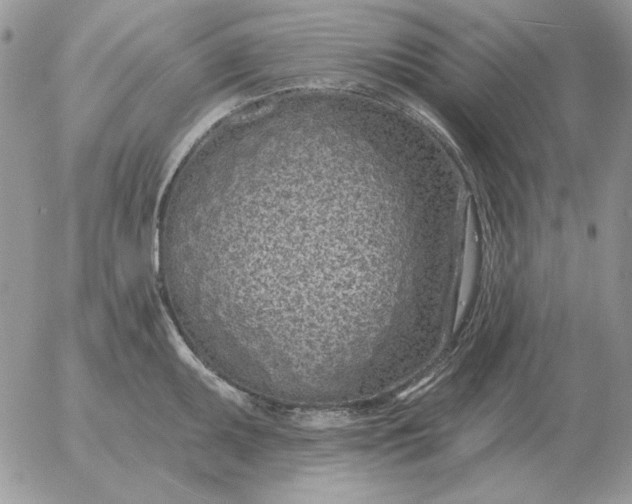 X0000052981095200507221321