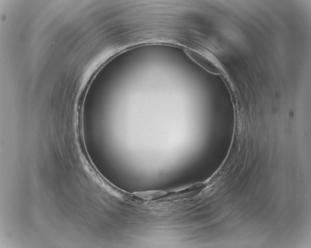 X0000052981096200507221321