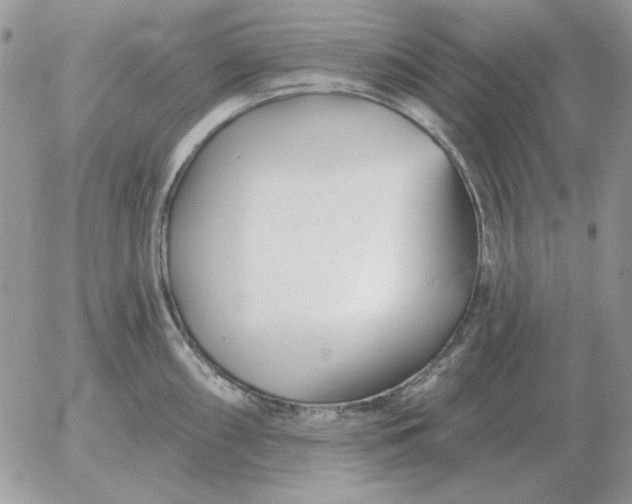 X0000052981098200507221321