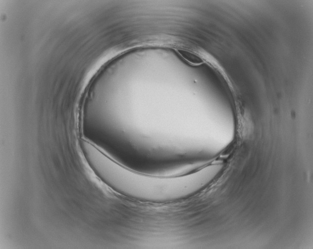 X0000052981099200507221321