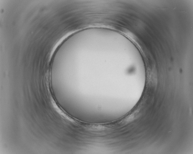 X0000052981100200507221321