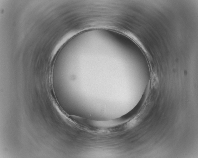 X0000052981101200507221321