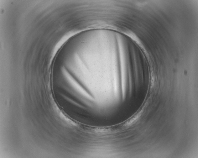 X0000052981102200507221321