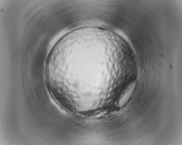 X0000052981103200507221321