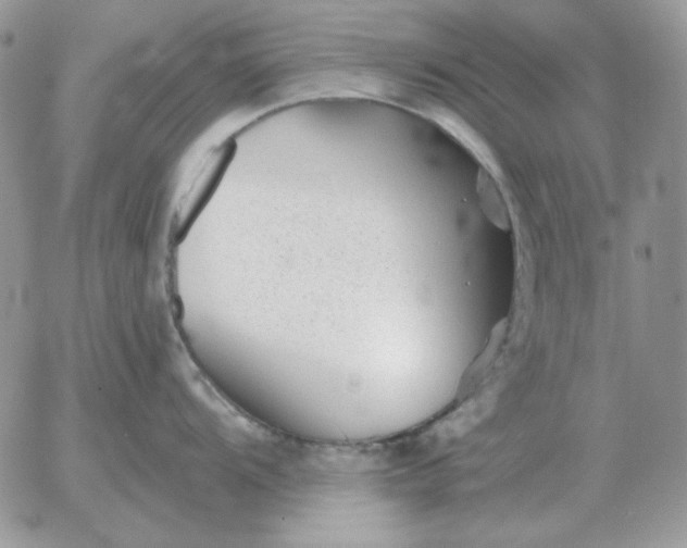 X0000052981104200507221321