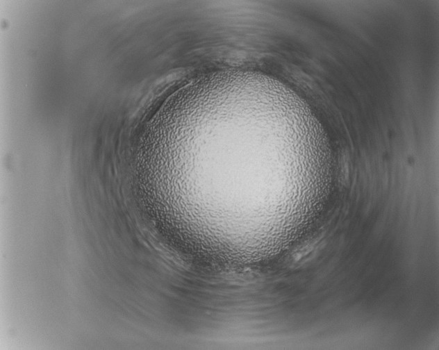 X0000052981105200507221320