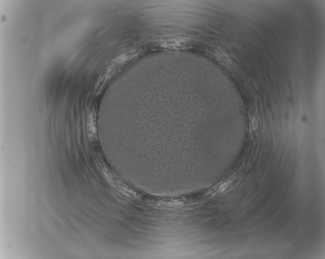 X0000052981106200507221320