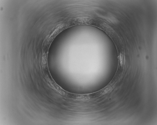 X0000052981107200507221320