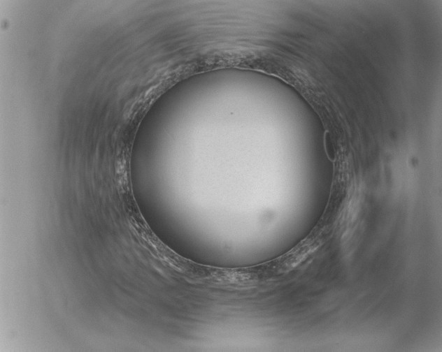 X0000052981109200507221320