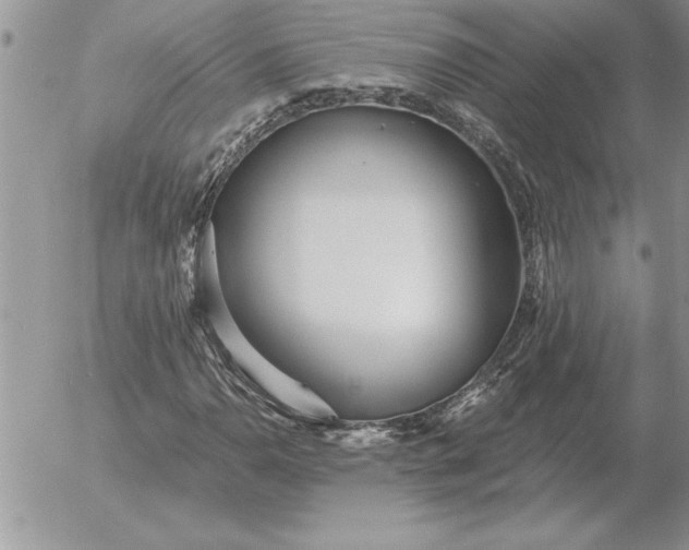 X0000052981110200507221320