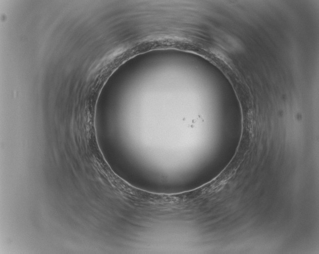 X0000052981111200507221320