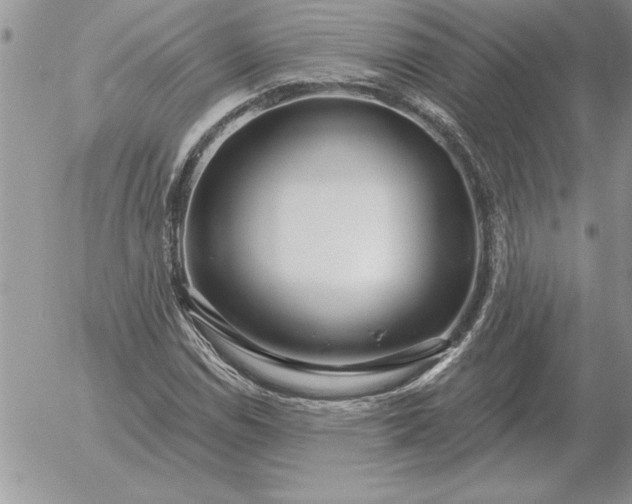 X0000052981114200507221320