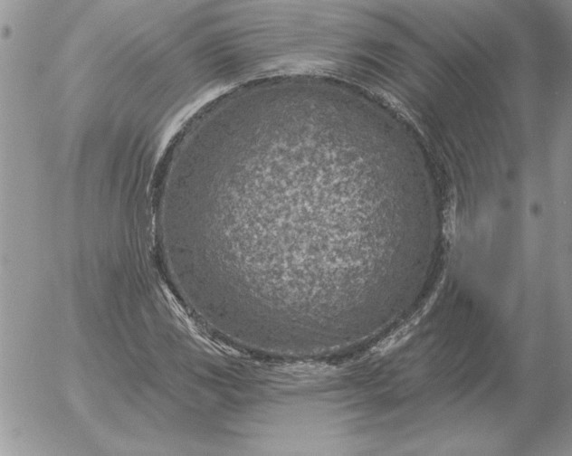 X0000052981117200507221320