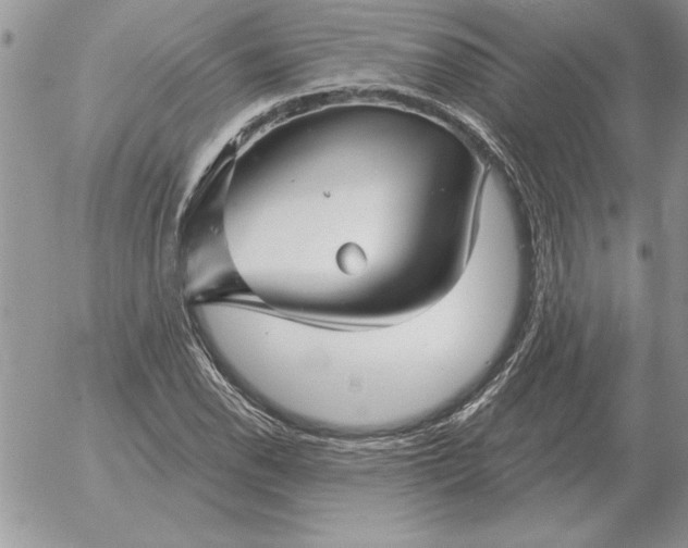 X0000052981118200507221320