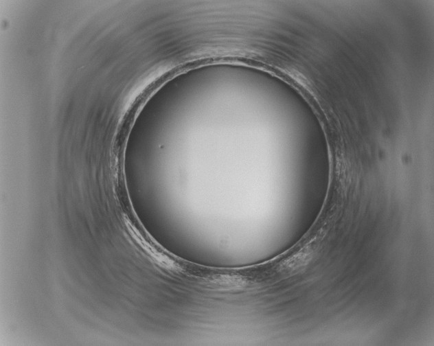 X0000052981119200507221321