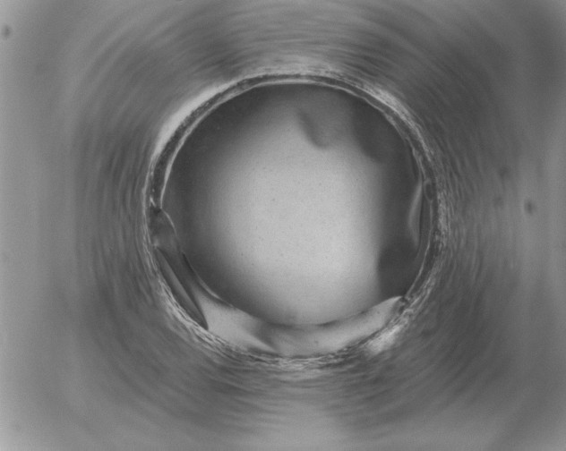 X0000052981120200507221321