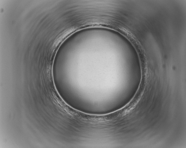 X0000052981121200507221321