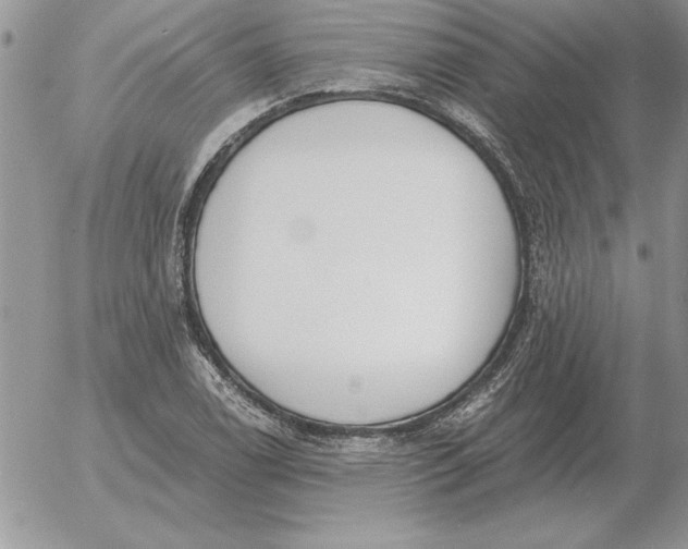 X0000052981122200507221321