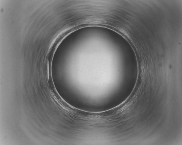 X0000052981123200507221321