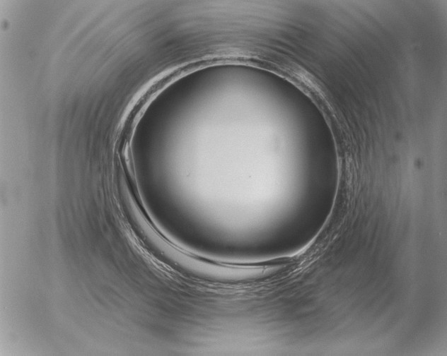 X0000052981124200507221321