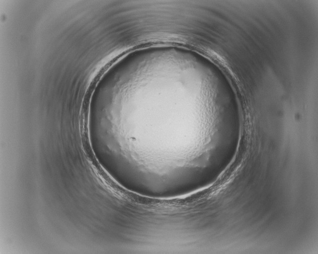 X0000052981125200507221321