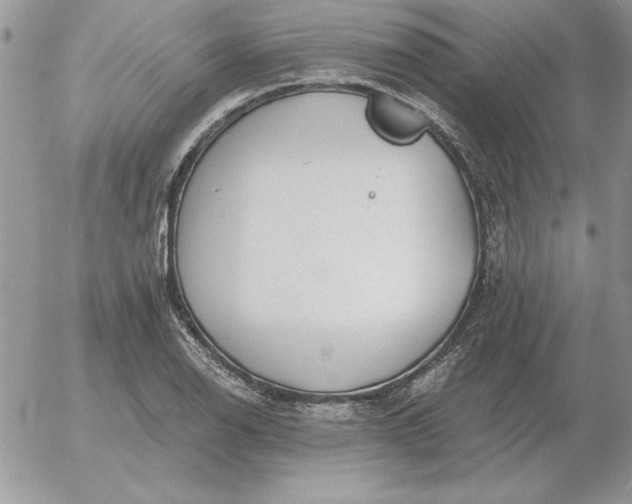 X0000052981126200507221321