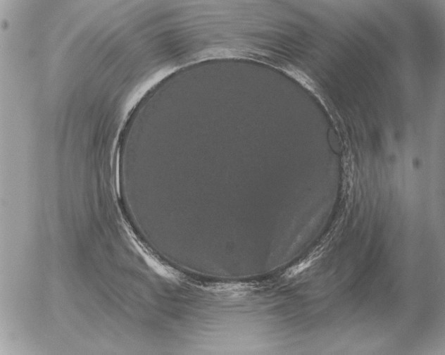 X0000052981127200507221321