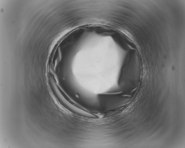 X0000052981128200507221321