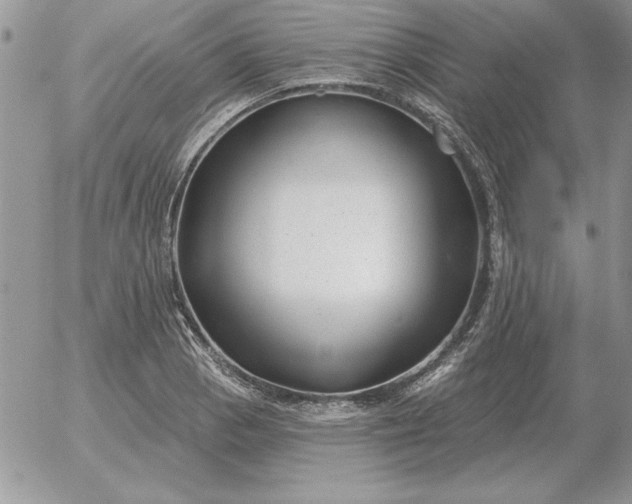 X0000052981129200507221321