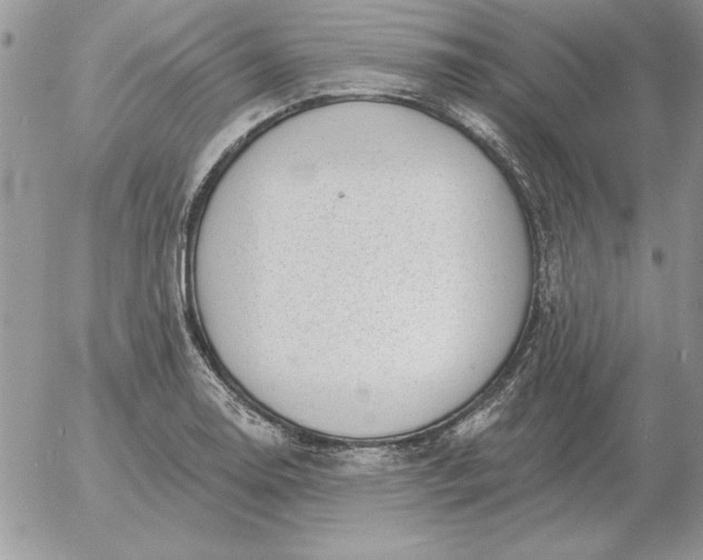 X0000052981130200507221321