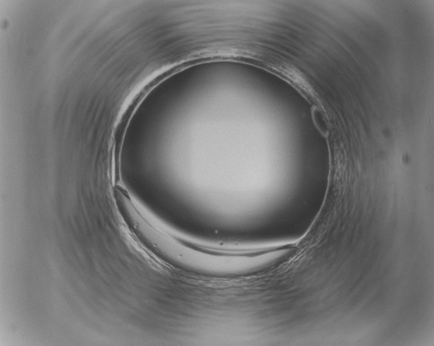 X0000052981132200507221321