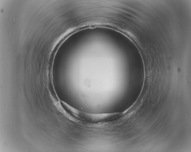 X0000052981134200507221321