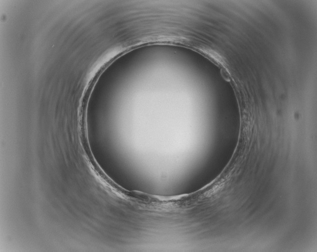 X0000052981135200507221321