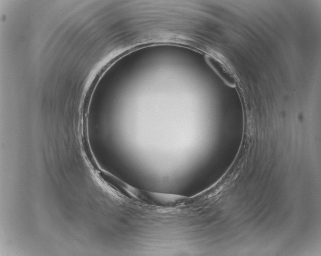 X0000052981136200507221321