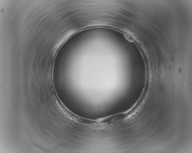 X0000052981137200507221321