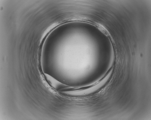 X0000052981138200507221321