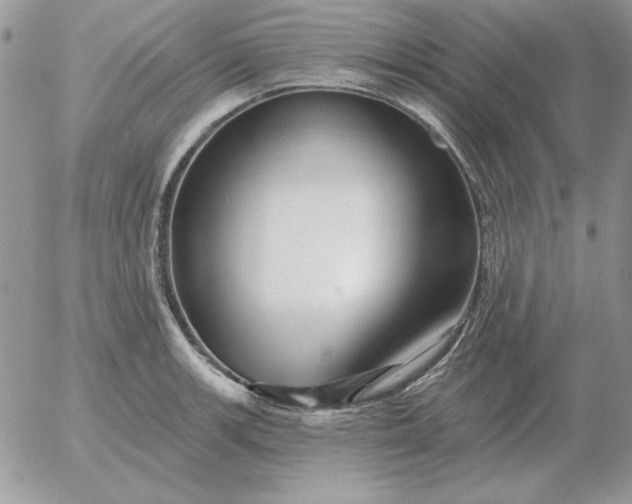 X0000052981139200507221321