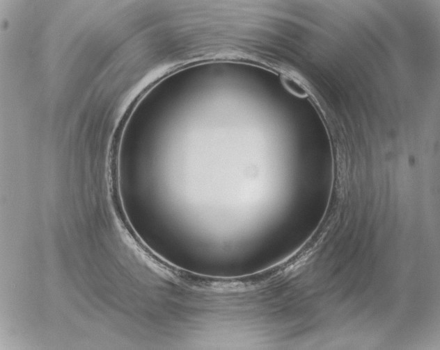 X0000052981142200507221321