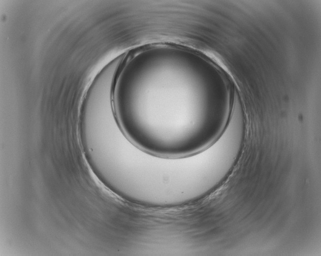 X0000052981143200507221321